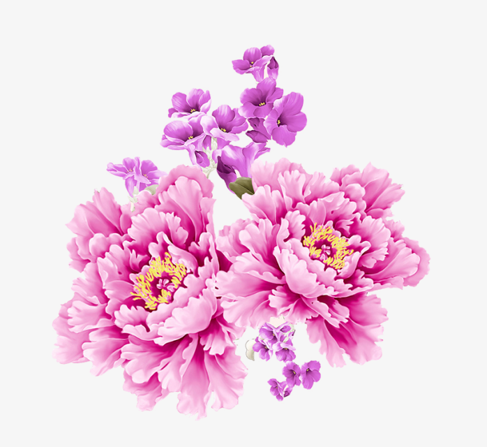 粉色手绘花朵边框素材