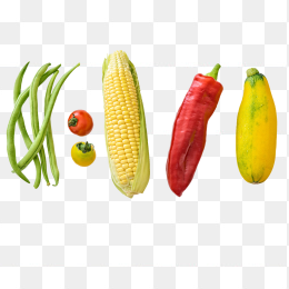 蔬菜