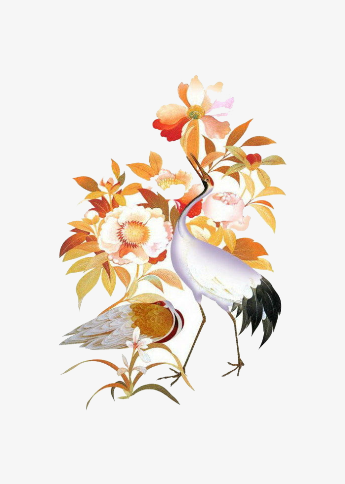 国画两只仙鹤