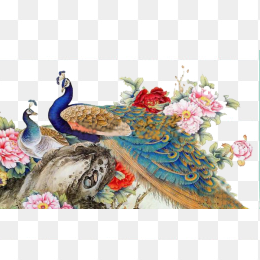 孔雀富贵图