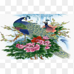 两只孔雀