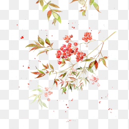 秋日红果