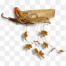 枯枝黄叶秋季植物藤蔓免扣png图片