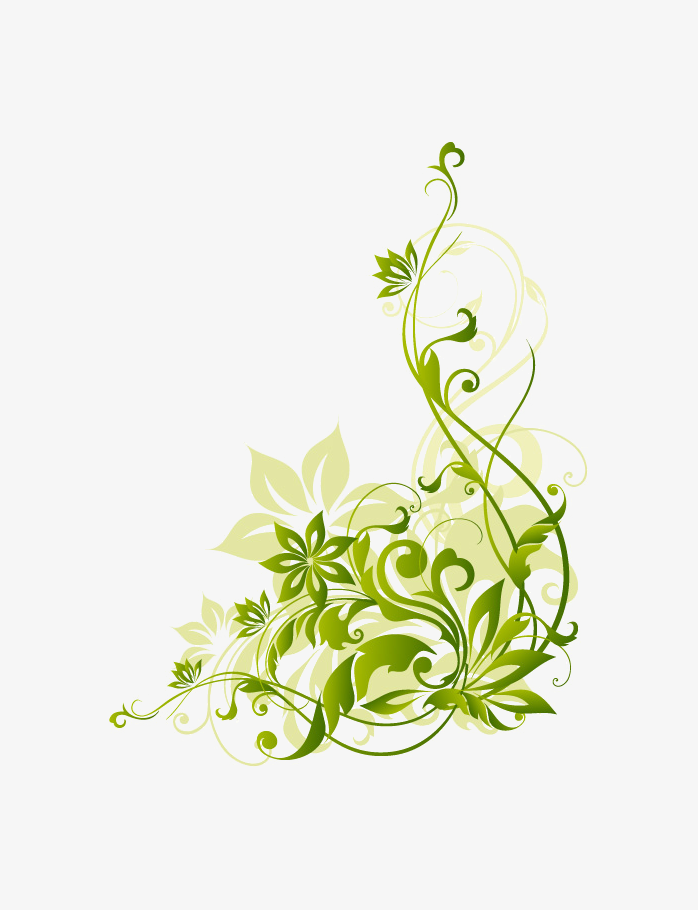 植物藤蔓花边线条花卷纹png