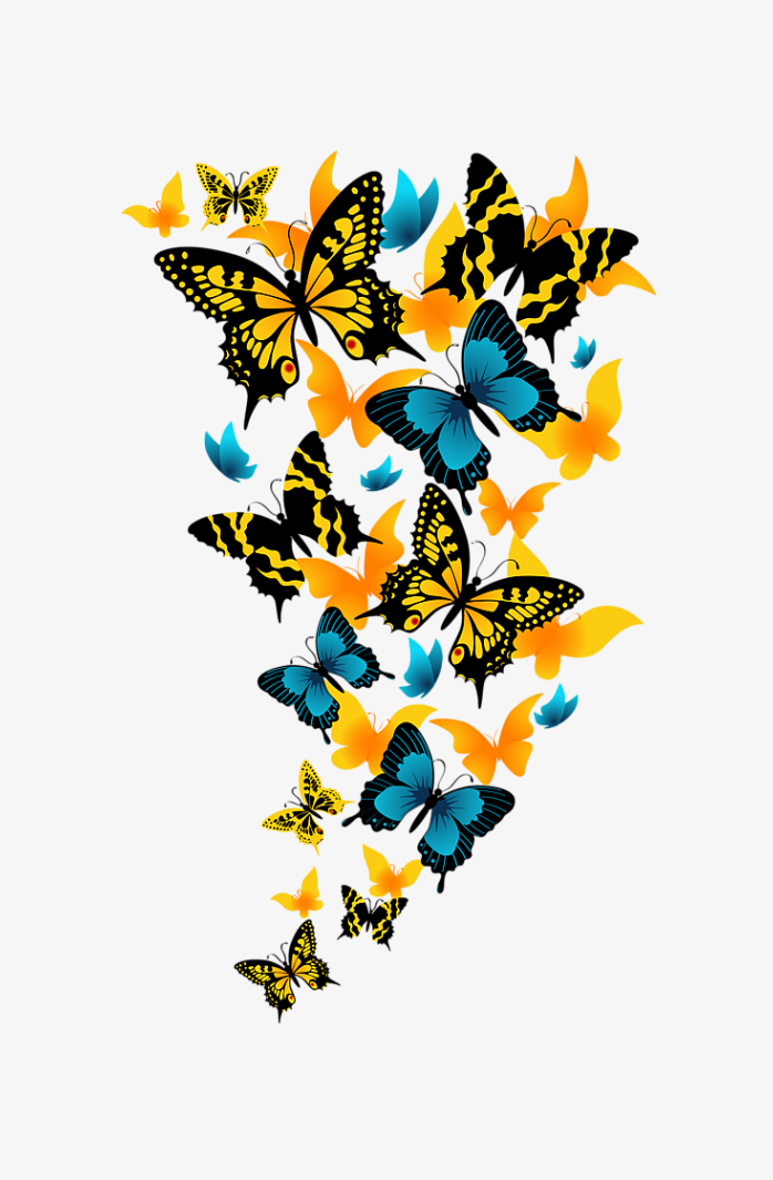 漂亮的蝴蝶花纹PNG免抠图片