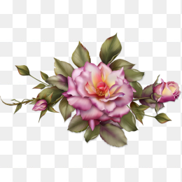 背景透明免扣花朵png图片
