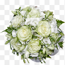 免扣白玫瑰花束png图片