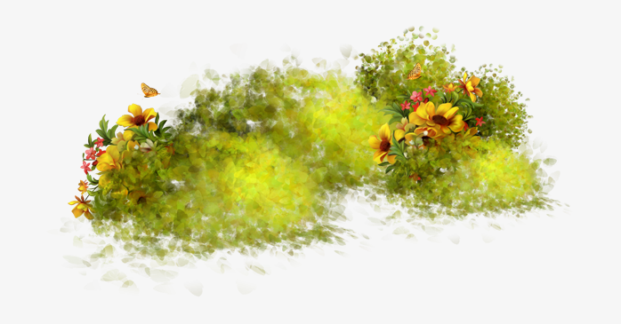 草坪草皮植物花卉透明png