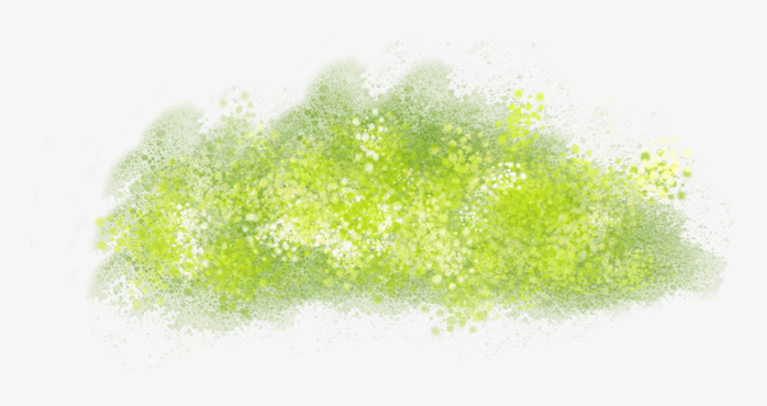 草坪草皮植物背景透明png