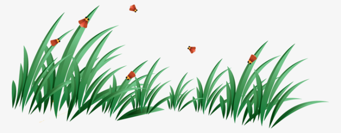 蝴蝶草坪草皮植物花卉背景透明png图片