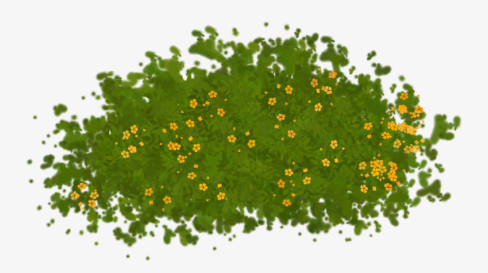 草坪草皮植物花卉透明png图片素材