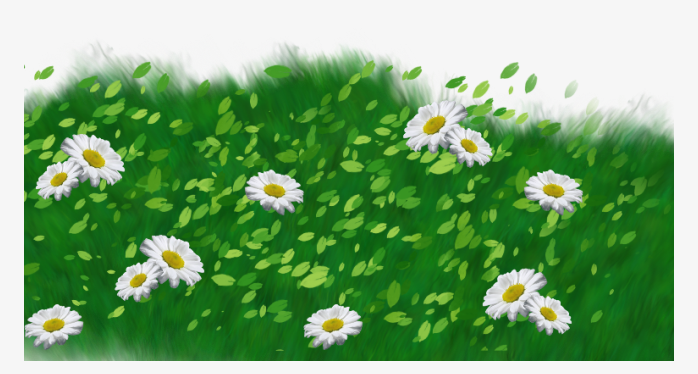 草坪草皮植物花卉背景透明png