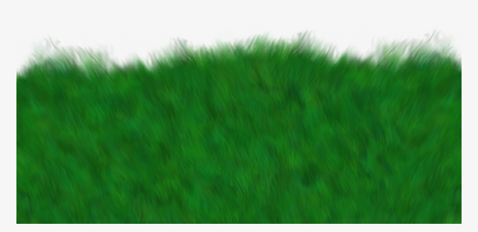 草坪草皮植物背景透明png图片素材
