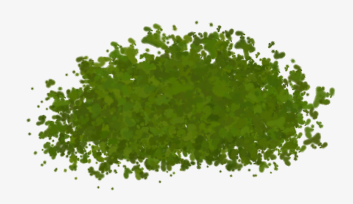 草坪草皮植物背景透明png图片素材