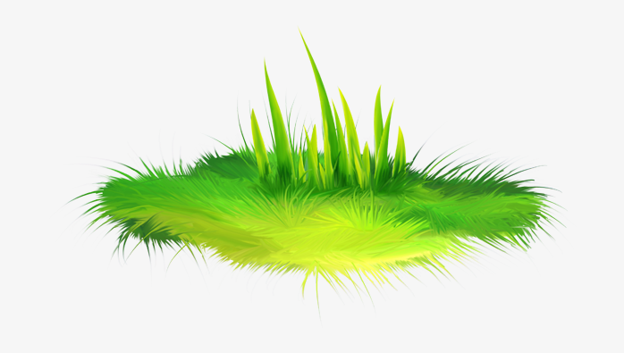 青草草坪草皮植物透明png图片素材