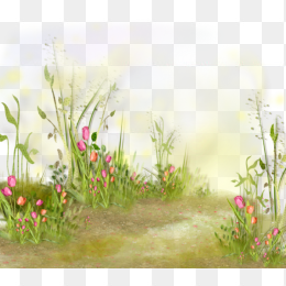 小路草坪草皮植物花卉背景透明png图片素材
