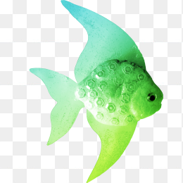 绿色漂亮的鱼的高清png透明背景图片