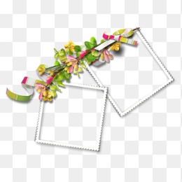 精美花朵修饰双相框png免抠图片透明背景