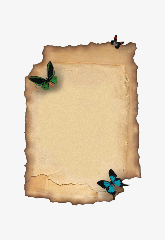 旧蝴蝶信纸免抠图png透明背景