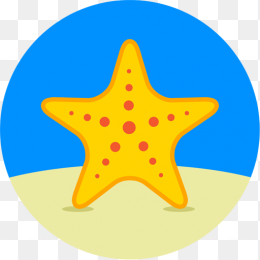 海星海洋生物动物PNG素材
