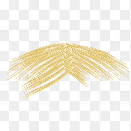 辫子