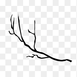 枯枝