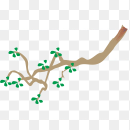 树枝