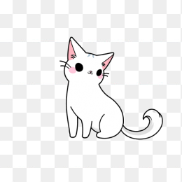 小白猫