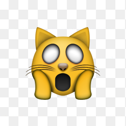 老虎，猫，猫咪，猫猫，喵咪