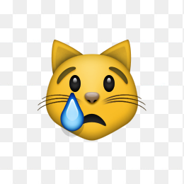 老虎，猫，猫咪，猫猫，喵咪