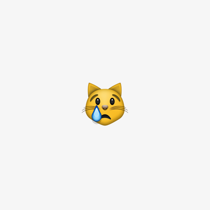 老虎，猫，猫咪，猫猫，喵咪