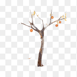 树枝