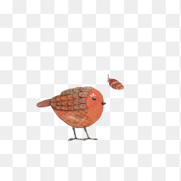 鸟
