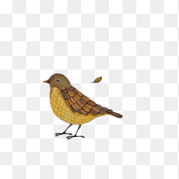 小鸟