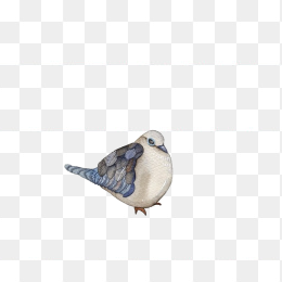 鸟