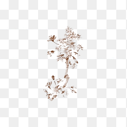 手绘花