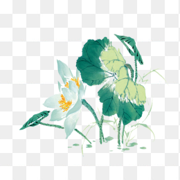 水墨荷花