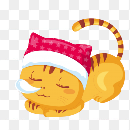 小猫咪