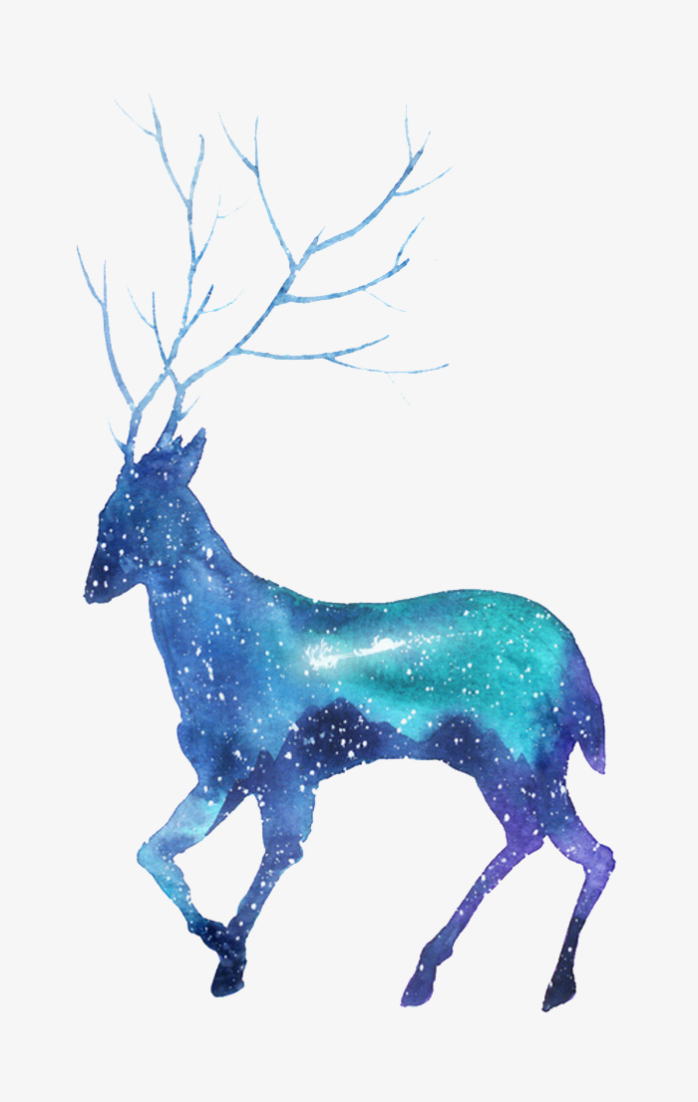 星空鹿