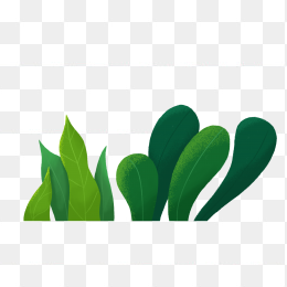 草