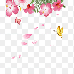 边角花朵蝴蝶装饰