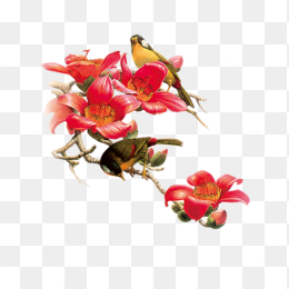 花与鸟