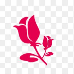 玫瑰花剪影