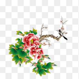 牡丹花鸟