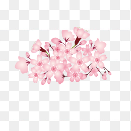 唯美樱花