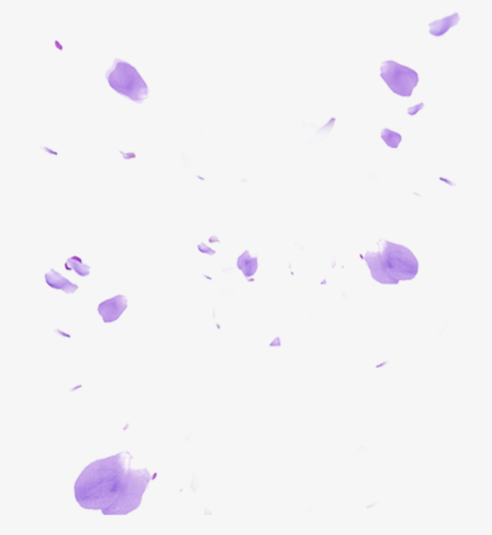 紫色梦幻花瓣