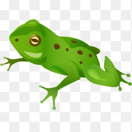 蛙