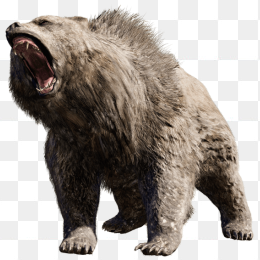 熊