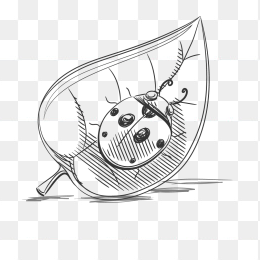 简笔瓢虫