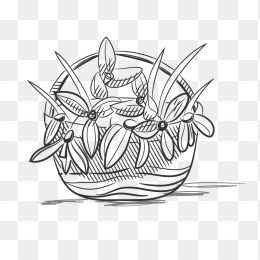 手绘简笔花篮